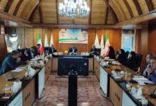 نشست بررسی پیش نویس اصلاح قانون شورای عالی بیمه