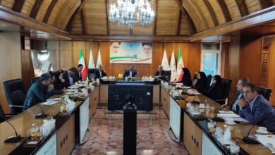 نشست بررسی پیش نویس اصلاح قانون شورای عالی بیمه